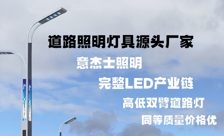 林芝LED市电路灯杆双臂智慧路灯城市主杆道乡村路灯市政工程亮 化改造